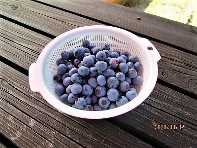IMG_2846.jpg