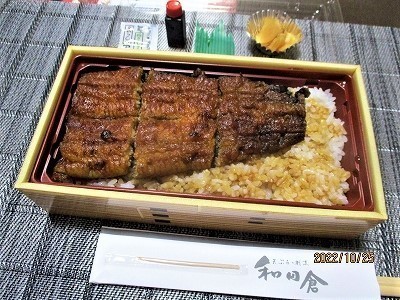 IMG_7528.jpg