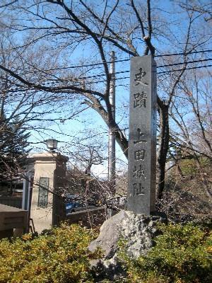 画像を等倍で表示します 画像