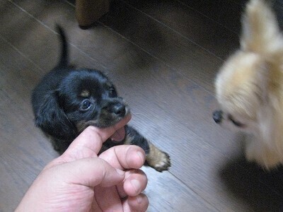 20070814-203100-1.jpg