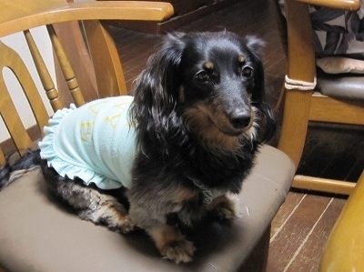 20100719-202019-1.jpg