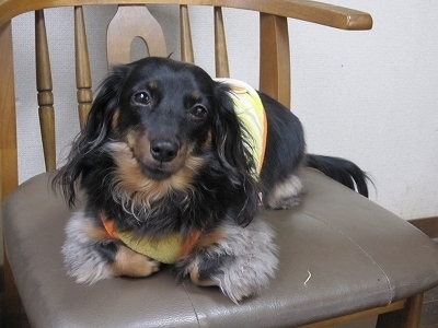 20101123-144627-1.jpg