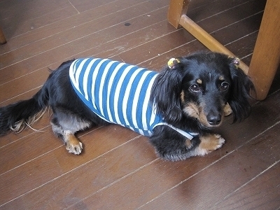 20110703-095401-0.jpg