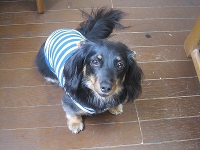 20110703-100056-0.jpg
